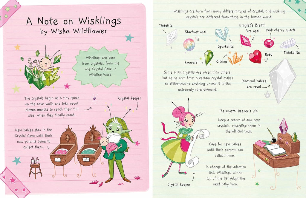The Diary of Wiska Wildflower: The New School by Harriet Muncaster